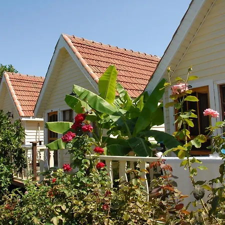 Nova Beach Hotel Side - Hotel 3*