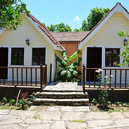 Nova Beach Hotel Side - 3* Side