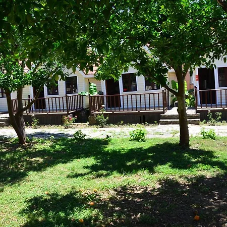 Nova Beach Hotel Side - 3*