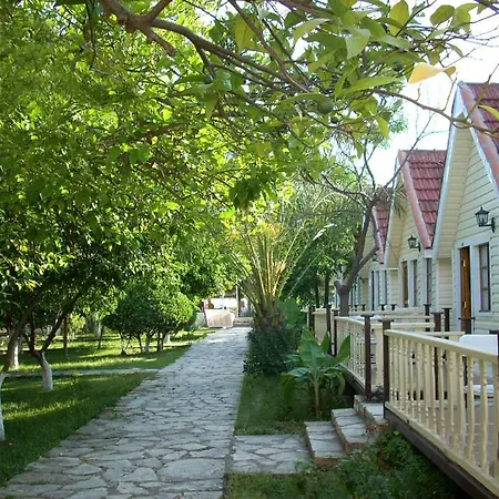 Hotel Nova Beach Hotel Side -