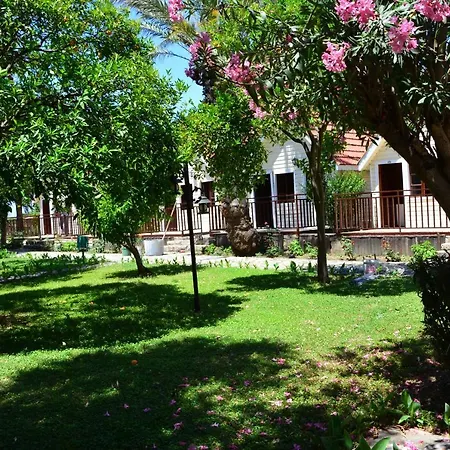 Nova Beach Hotel Side - 3*