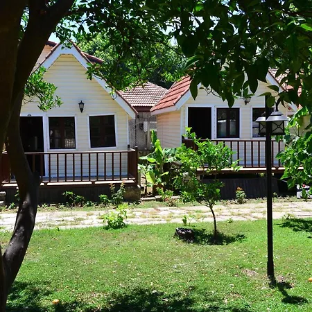Hotel Nova Beach Hotel Side -