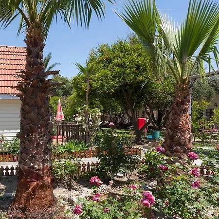 Nova Beach Hotel Side -