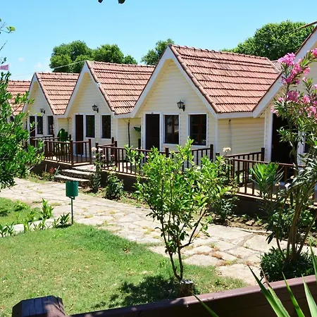 Nova Beach Hotel Side -
